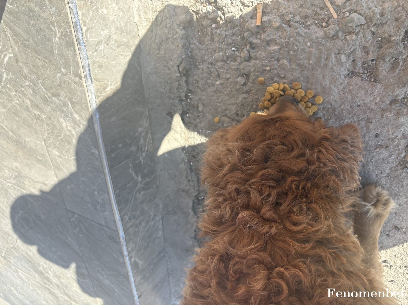 Mesem450 tarafından paylaşıldı