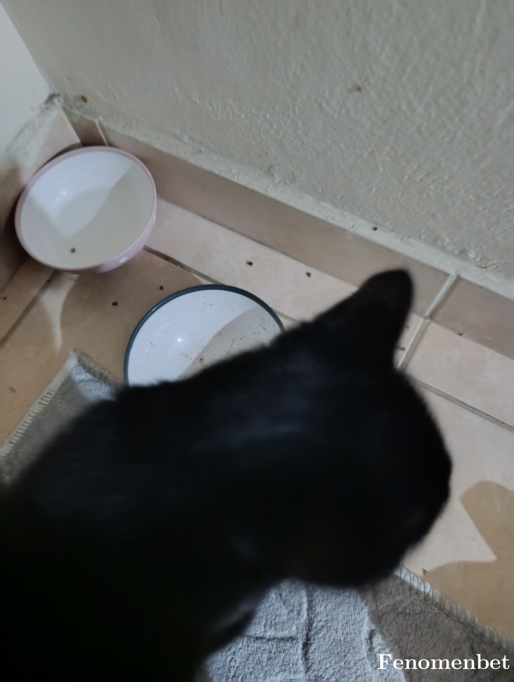 bebegim61 tarafından paylaşıldı