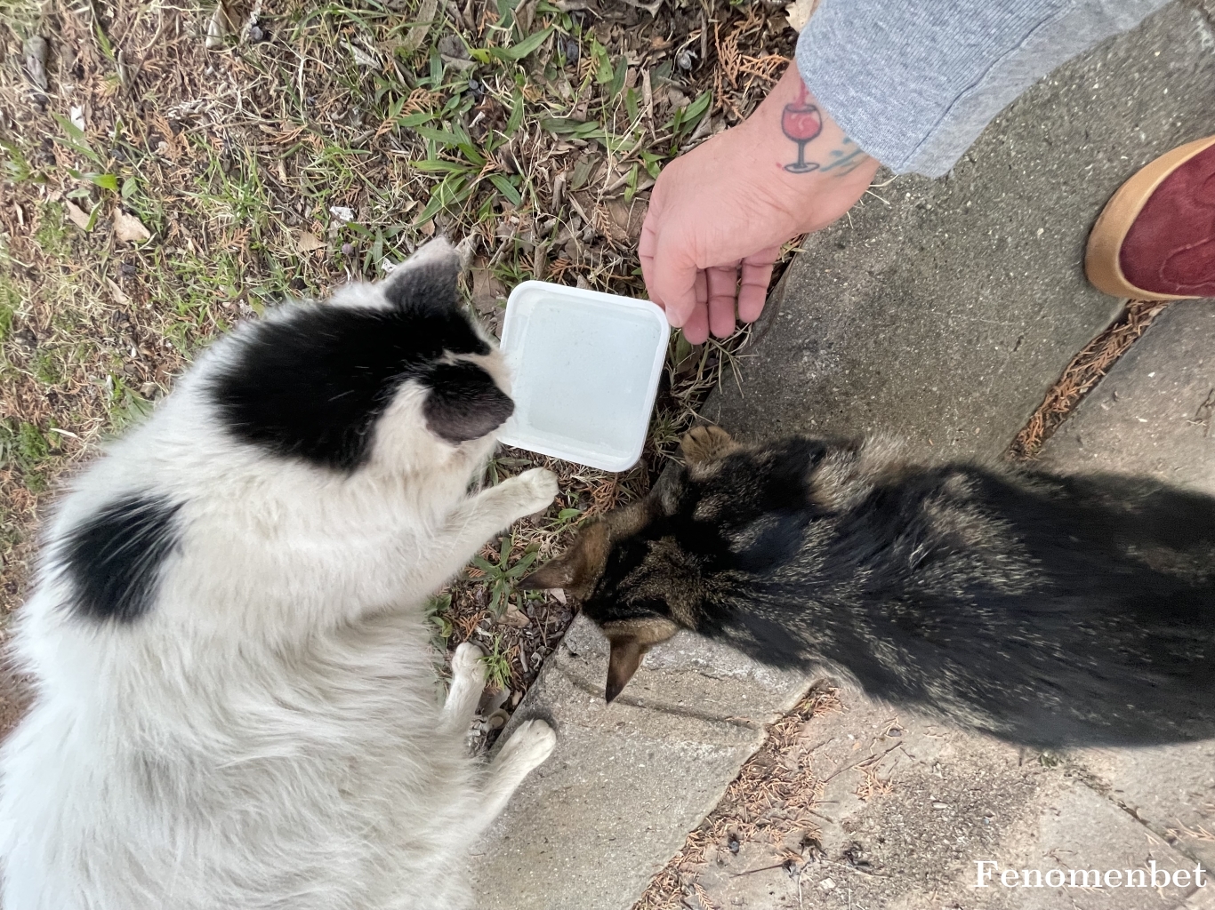 Antiviral tarafından paylaşıldı