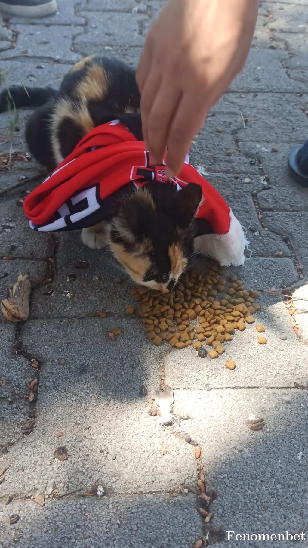 Lozanciemre27 tarafından paylaşıldı