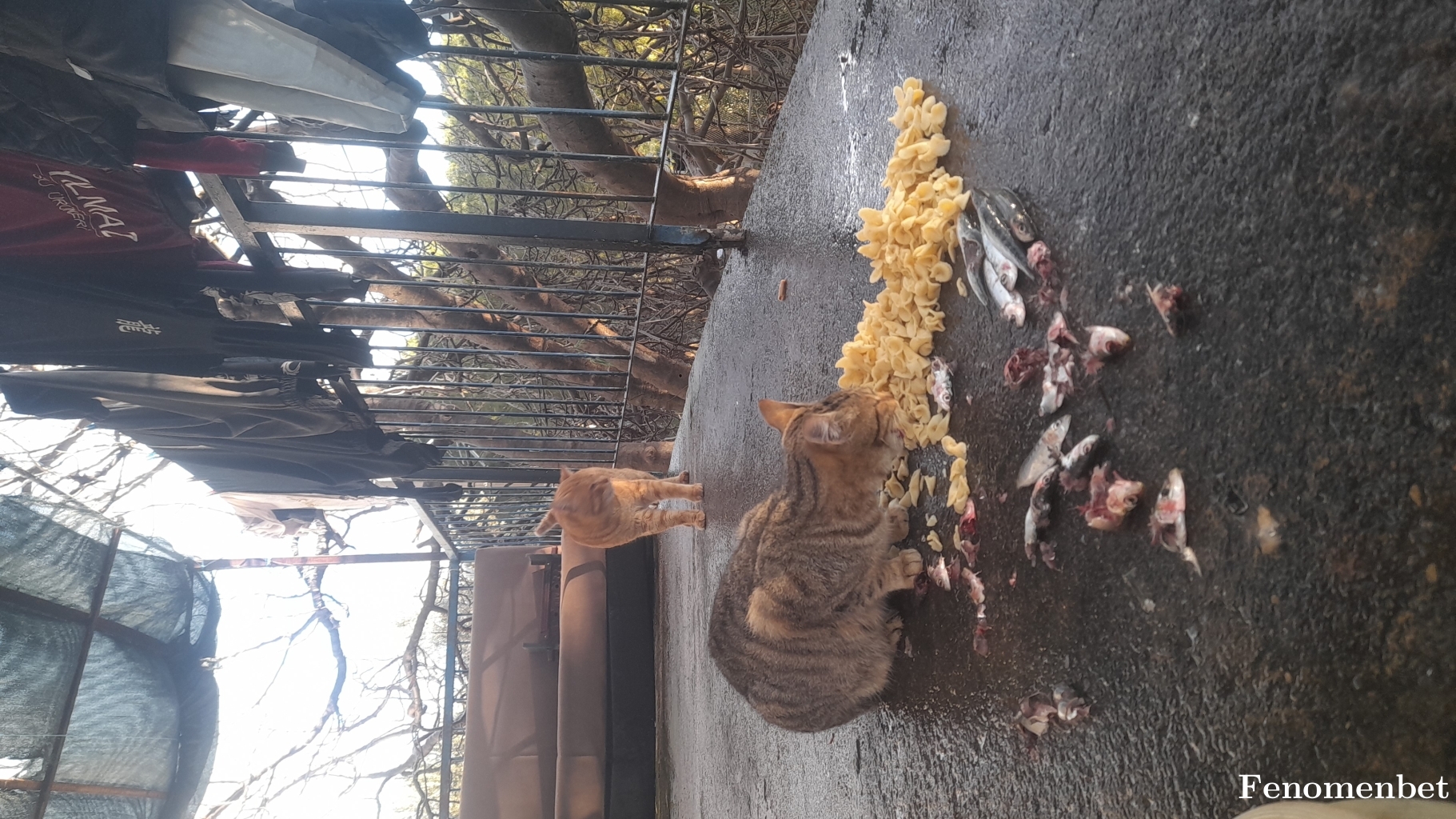 Arzu80 tarafından paylaşıldı