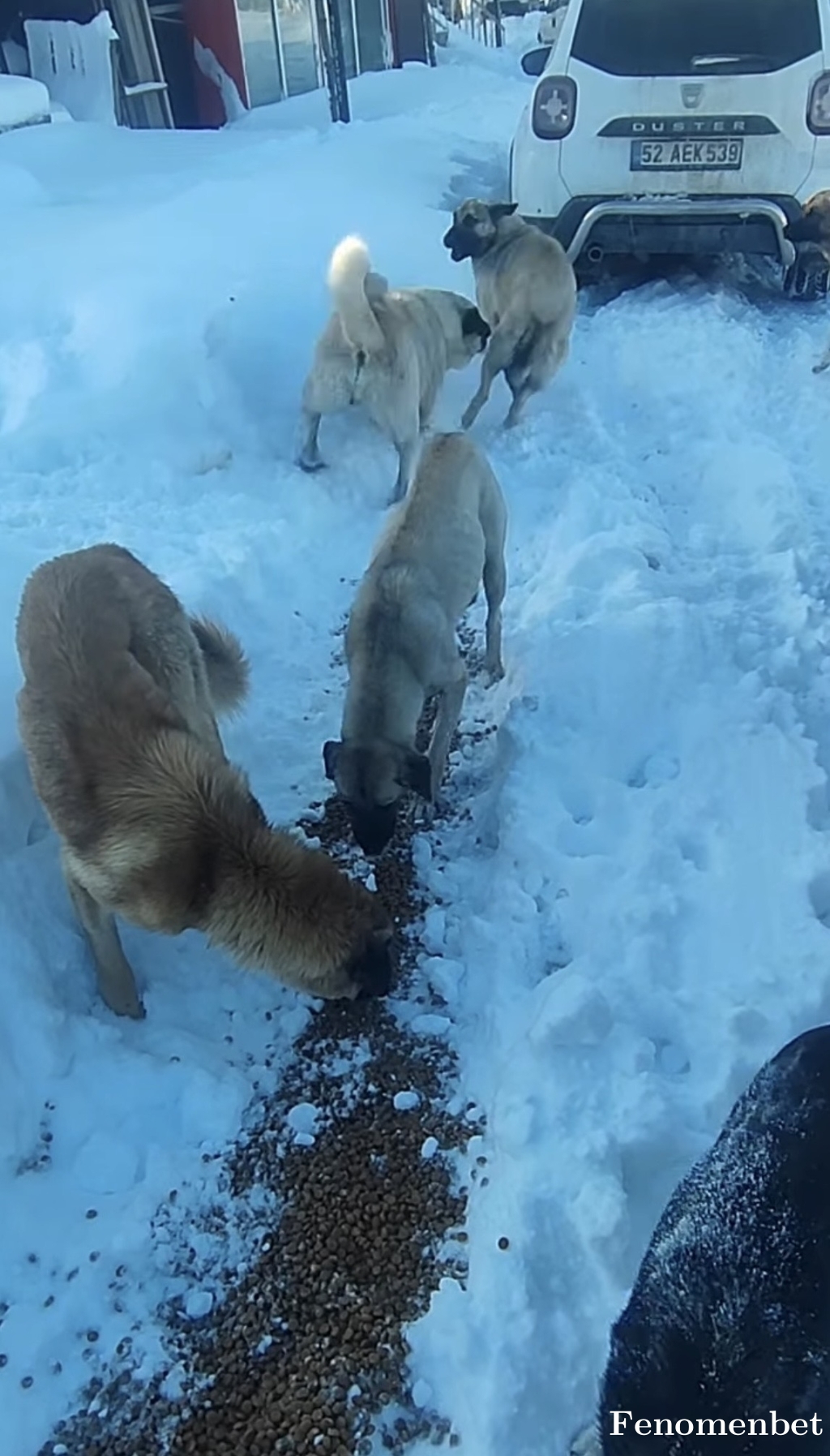 esma3460 tarafından paylaşıldı