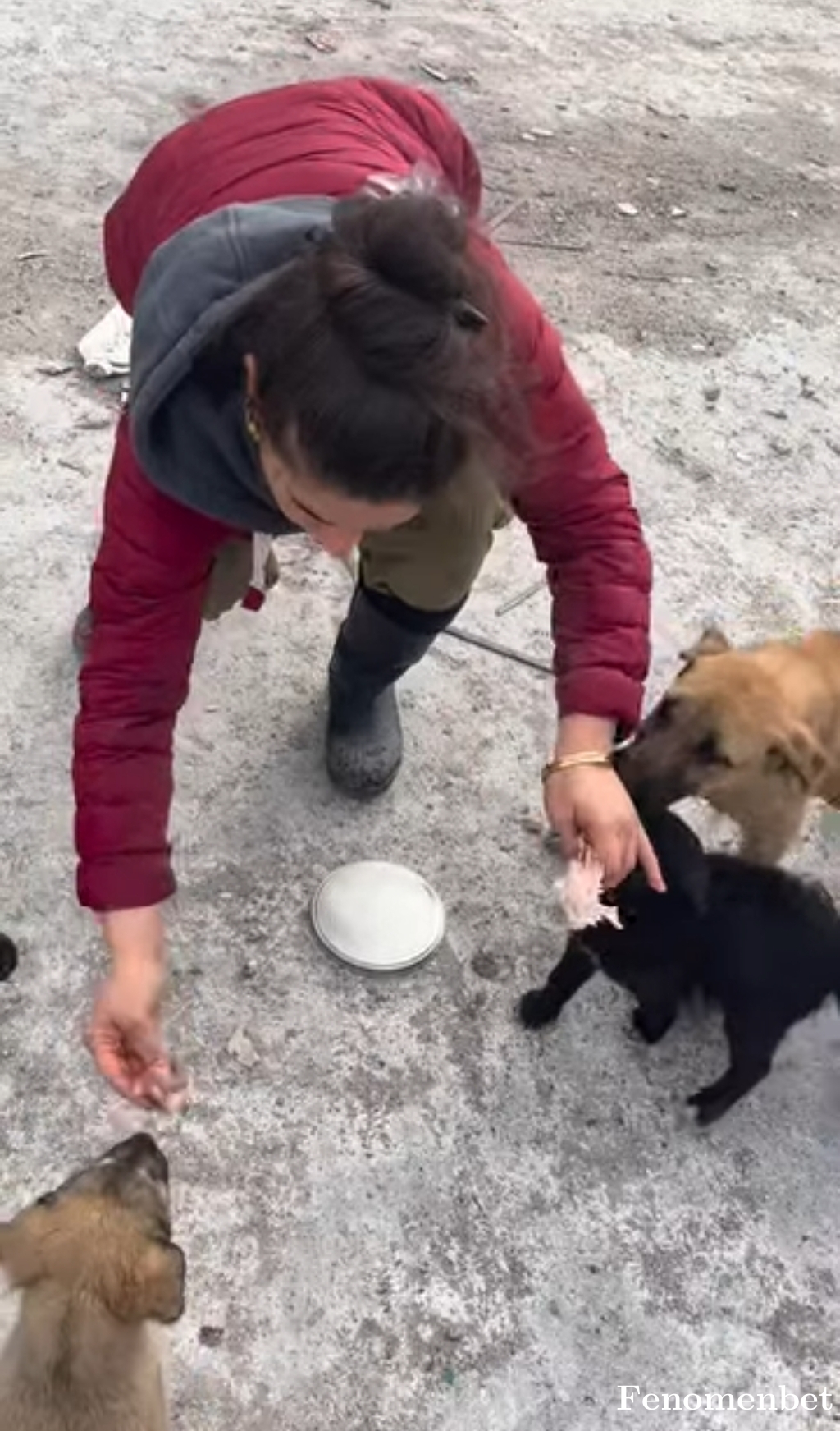 erasecam tarafından paylaşıldı