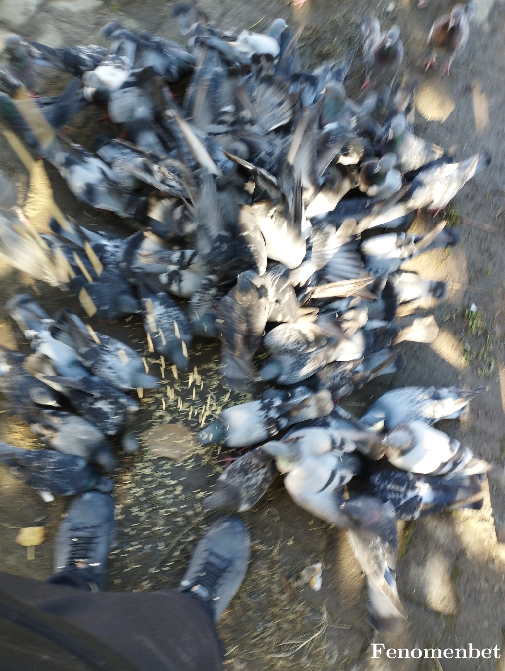 Alisaglam61x tarafından paylaşıldı