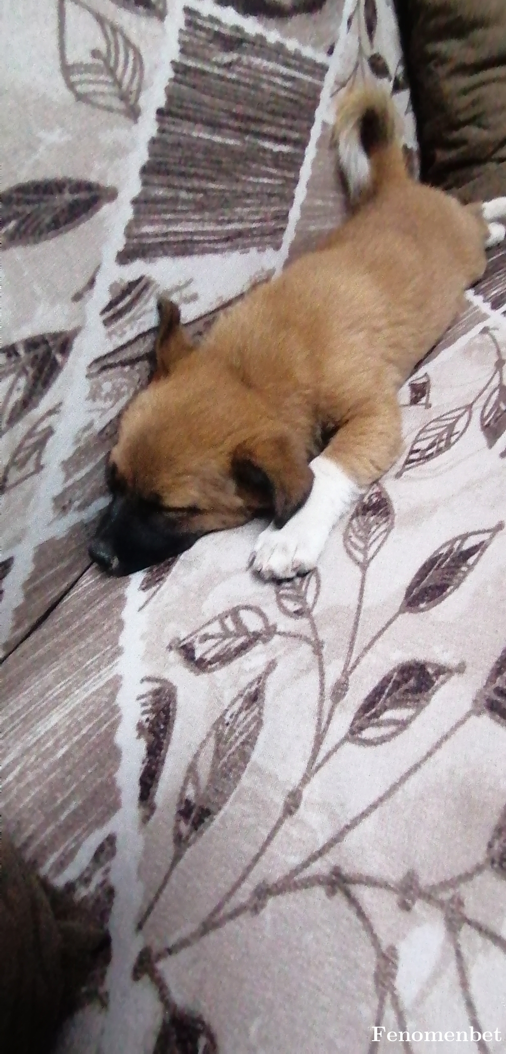 Cihan3728 tarafından paylaşıldı