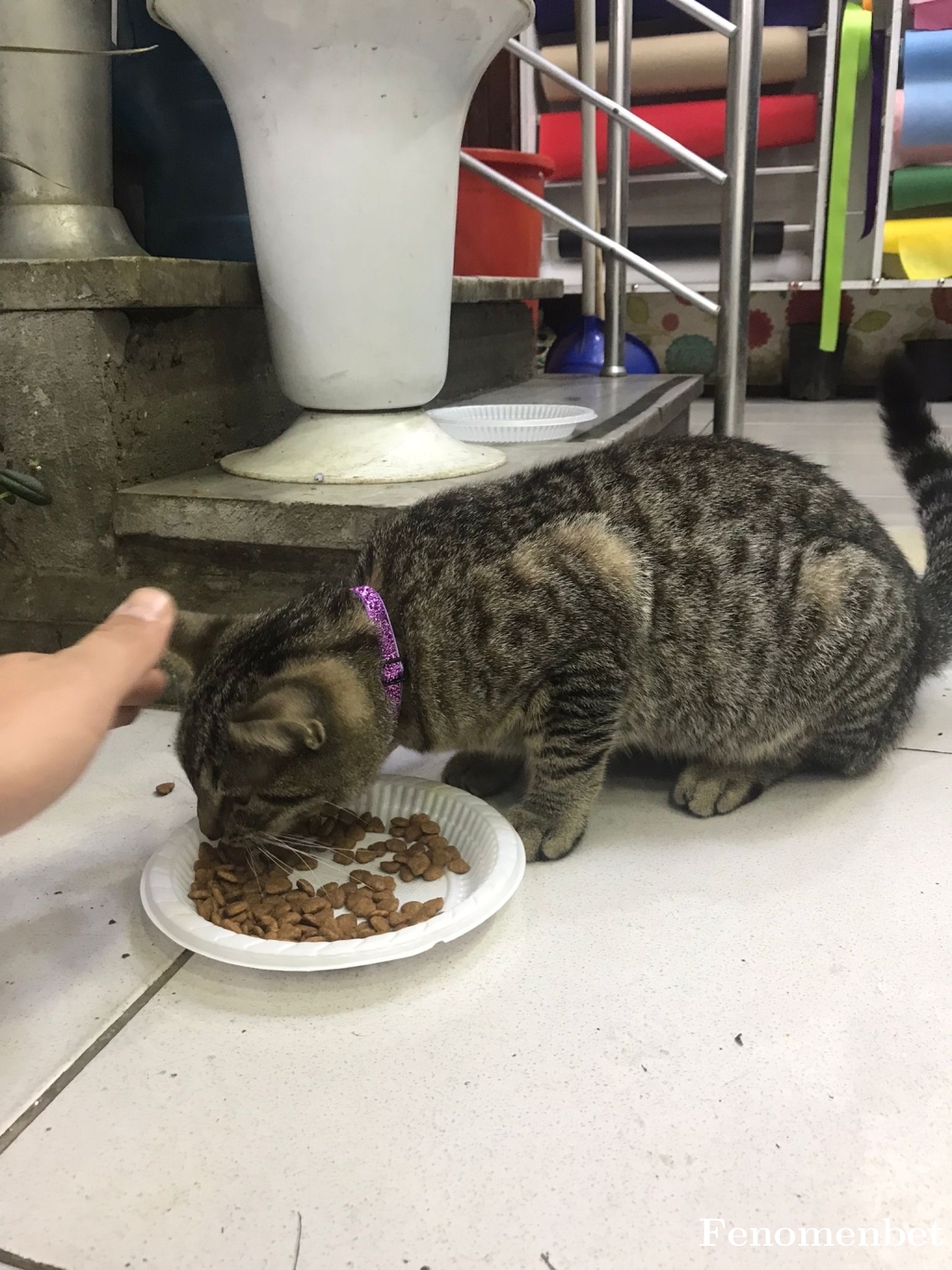 Ara tarafından paylaşıldı