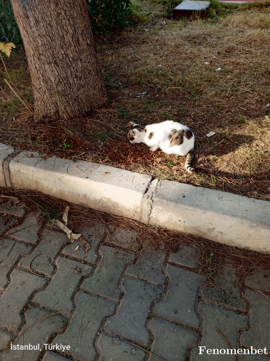 Bilo13 tarafından paylaşıldı