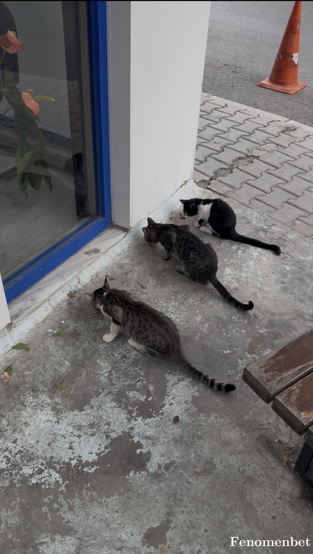 ugralba tarafından paylaşıldı