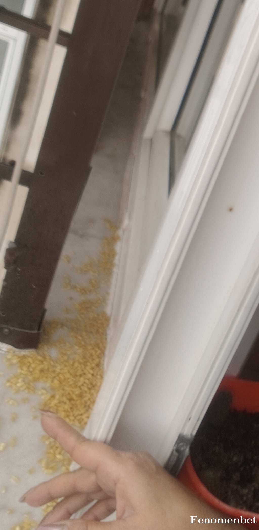 Fatos1975 tarafından paylaşıldı