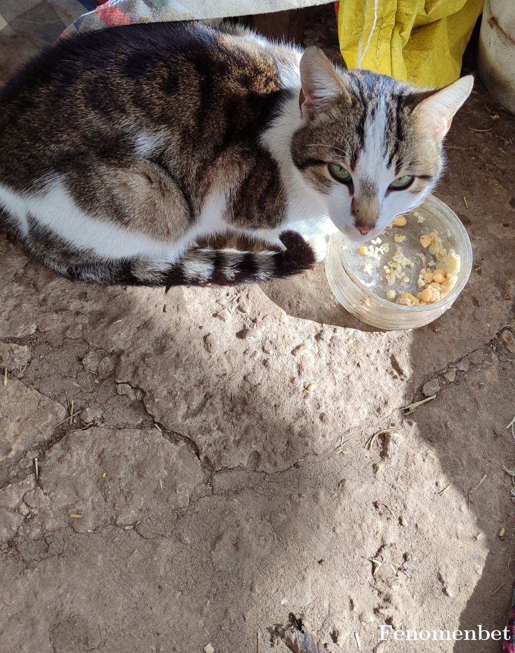 mahsuntorga tarafından paylaşıldı