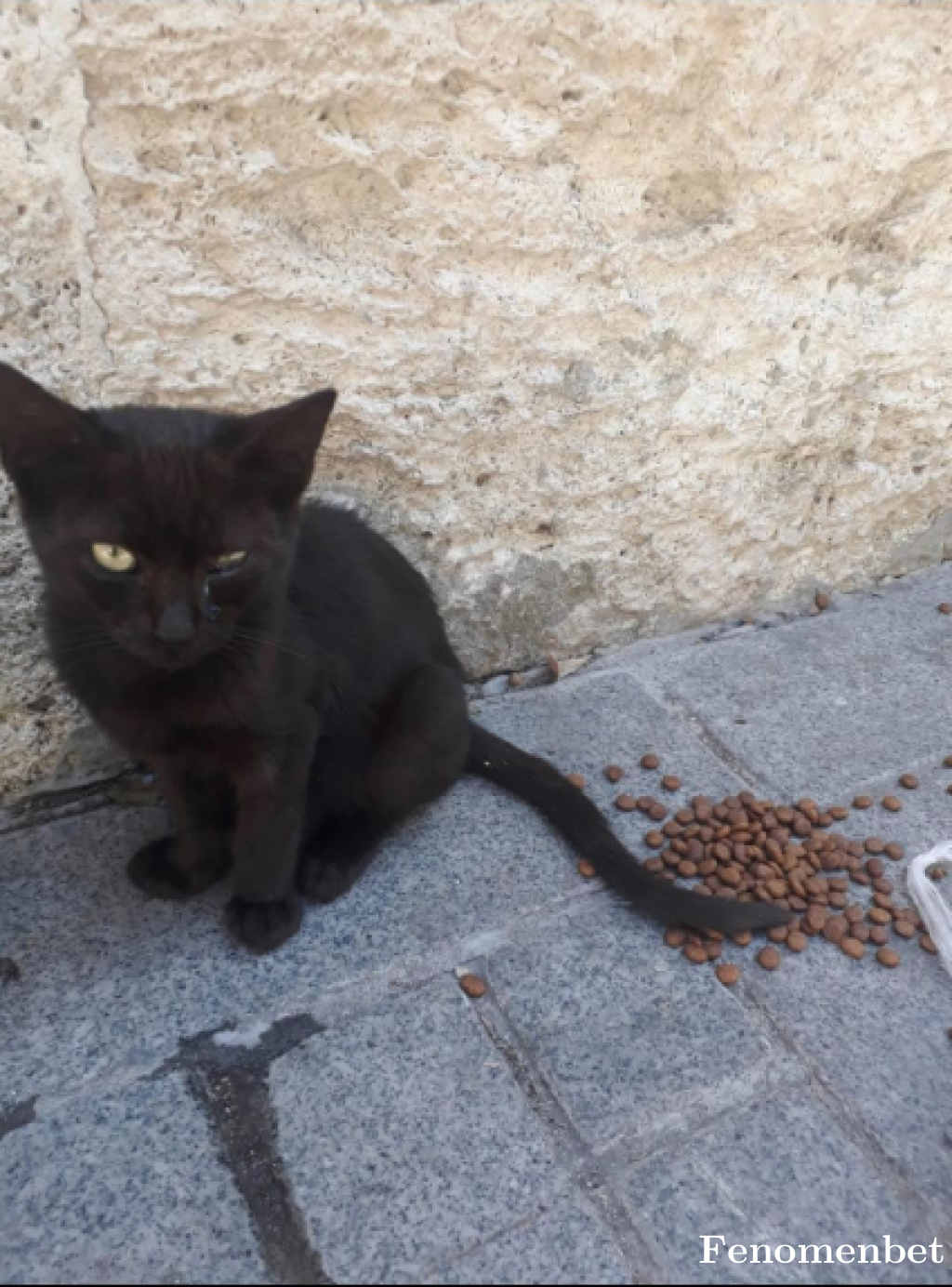 fenomenthy tarafından paylaşıldı