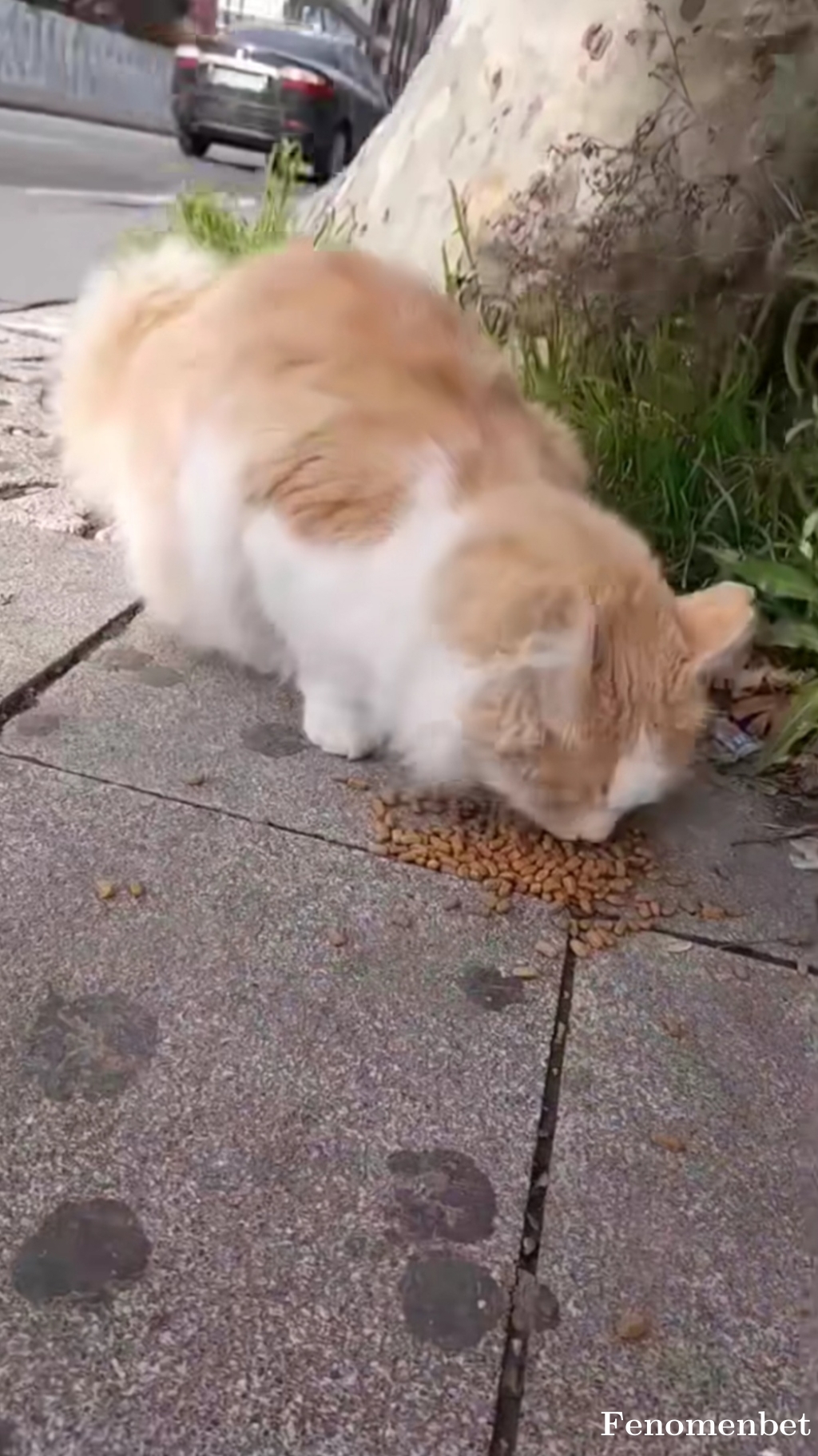 Sedat06  tarafından paylaşıldı