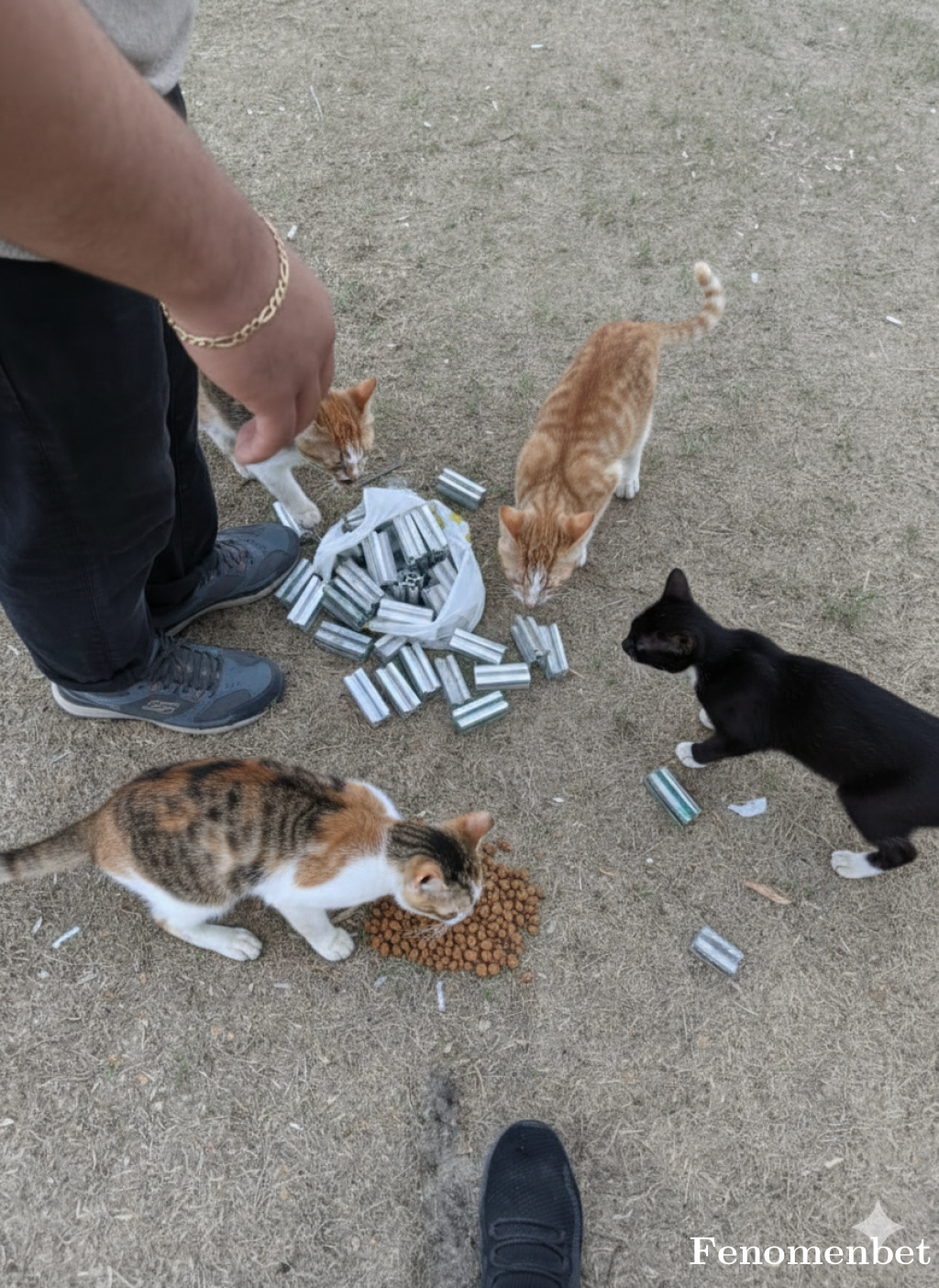 Dejavu5880 tarafından paylaşıldı