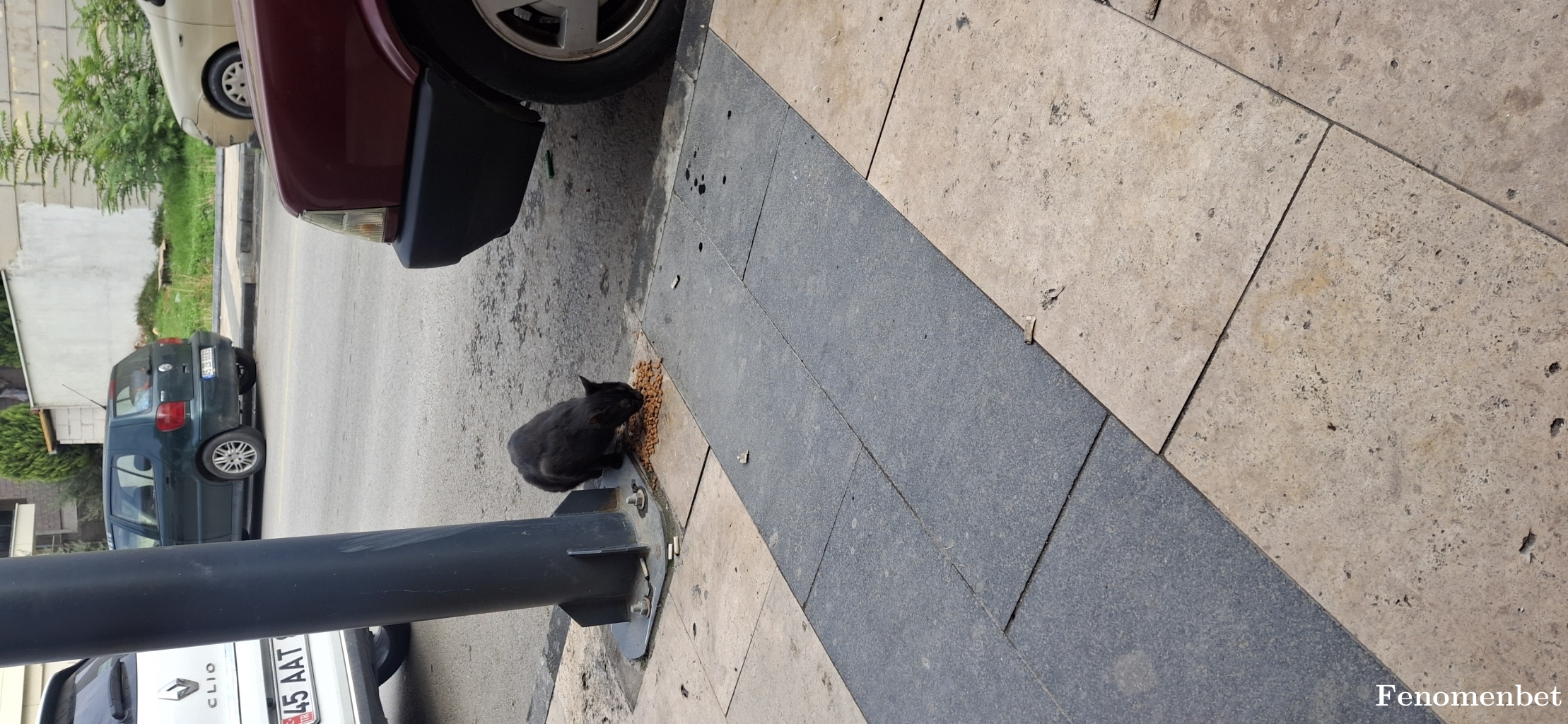 kursat1245  tarafından paylaşıldı