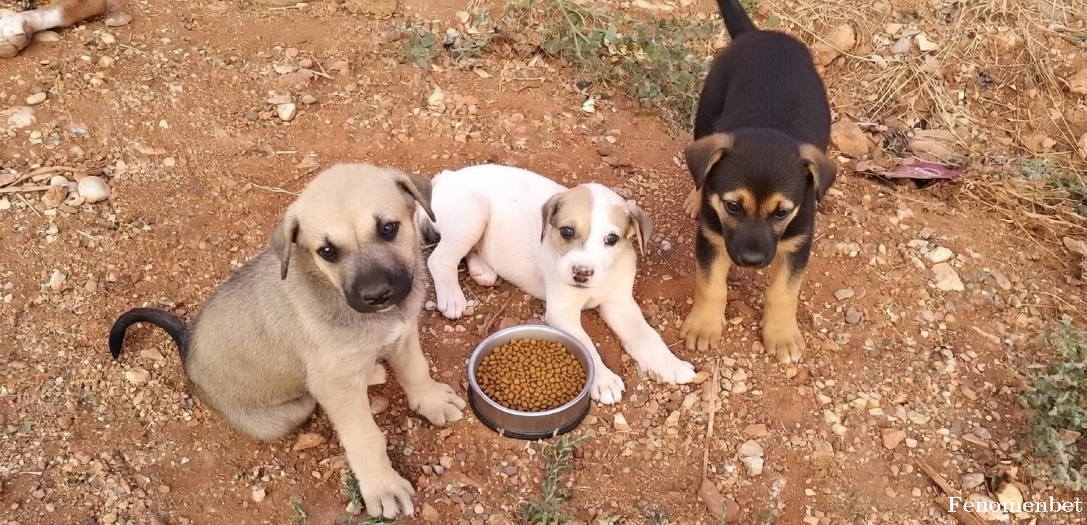 Kinqm21 tarafından paylaşıldı