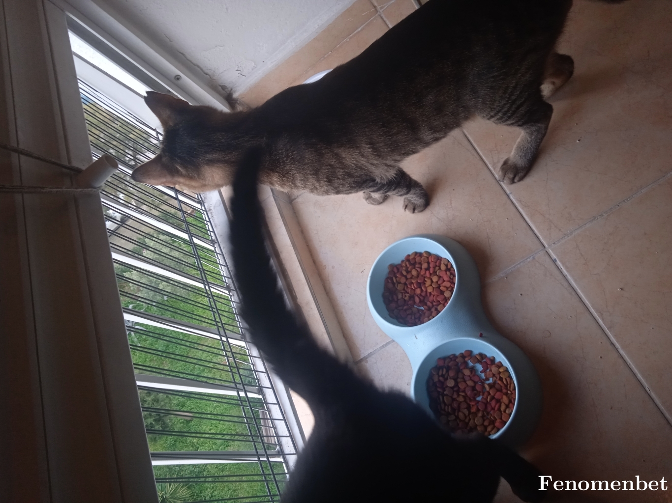 Meftunizm tarafından paylaşıldı