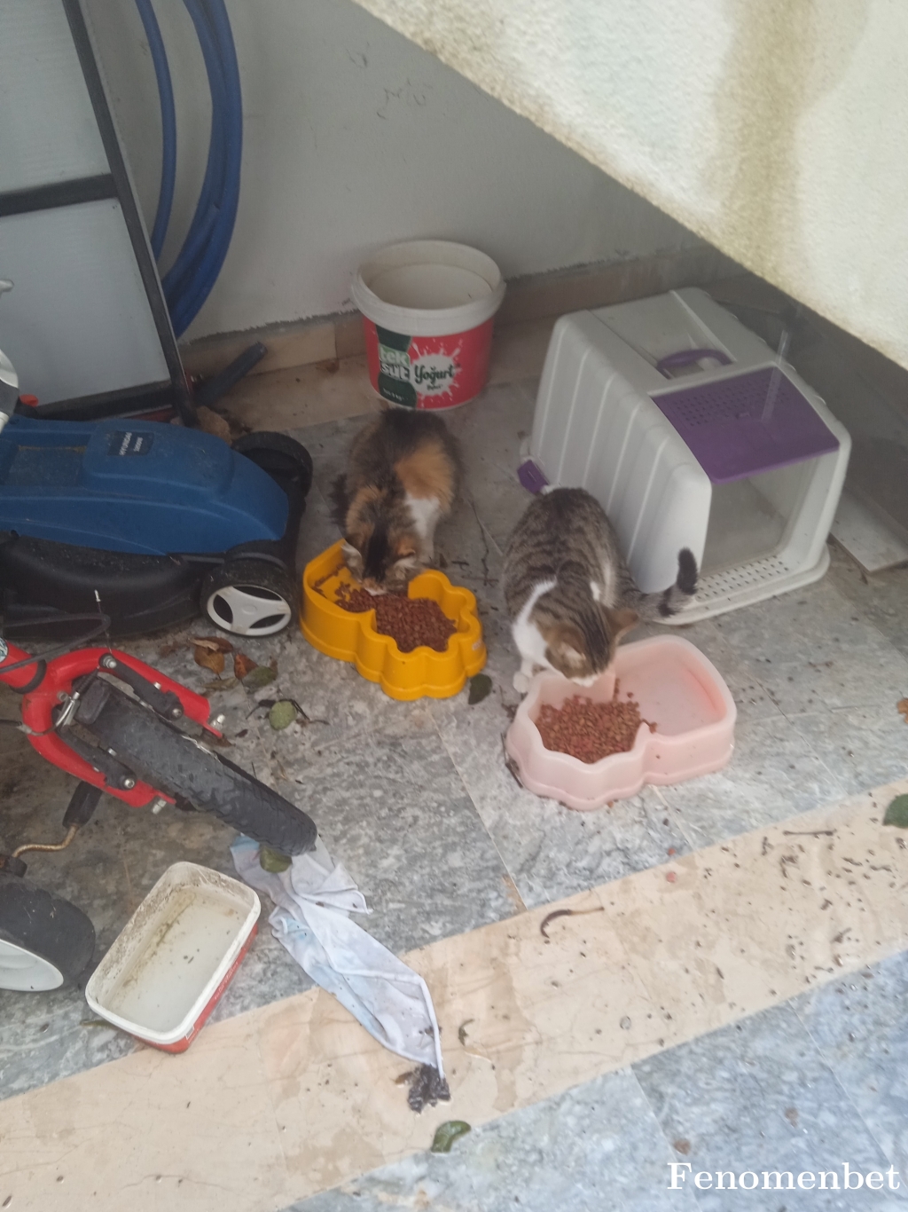 ertan1461 tarafından paylaşıldı