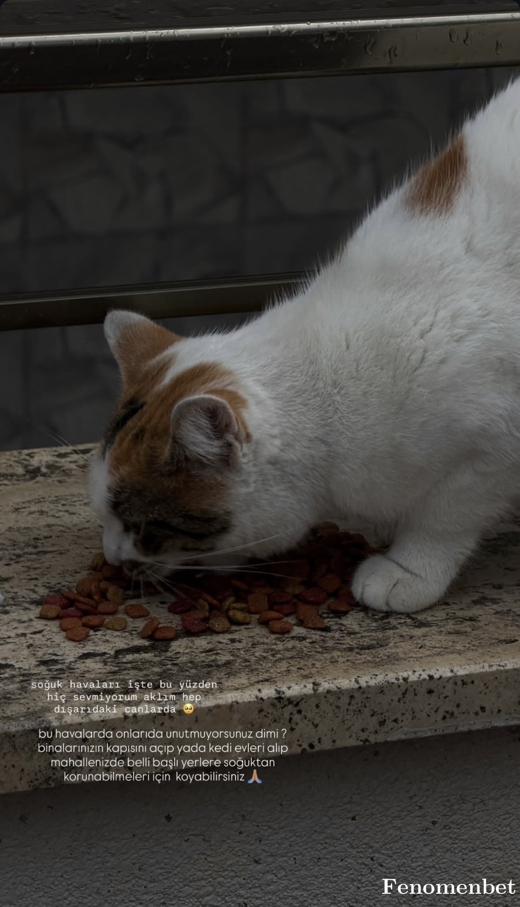 Ecmnr61 tarafından paylaşıldı