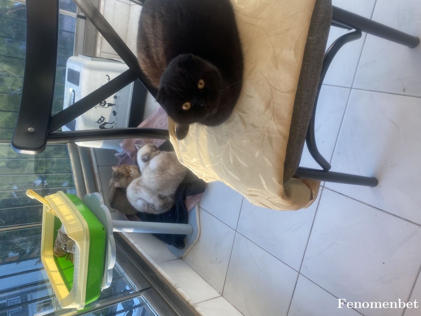 Zuhalcoins  tarafından paylaşıldı