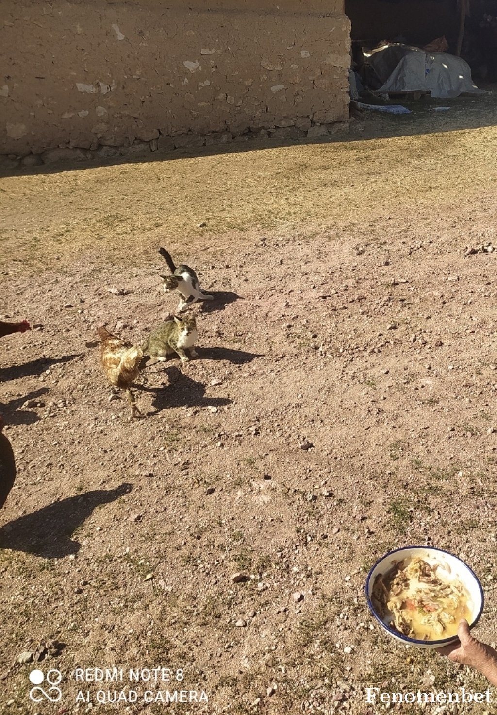 Alhan098765 tarafından paylaşıldı