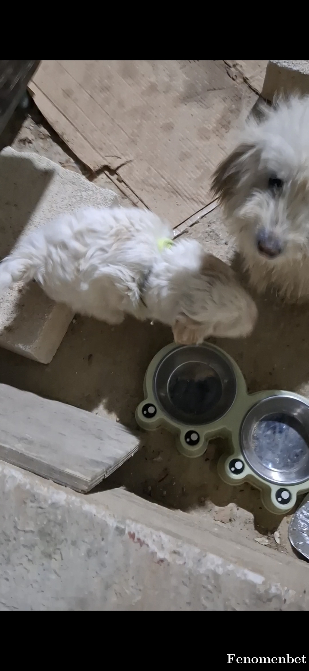 bayd3344 tarafından paylaşıldı