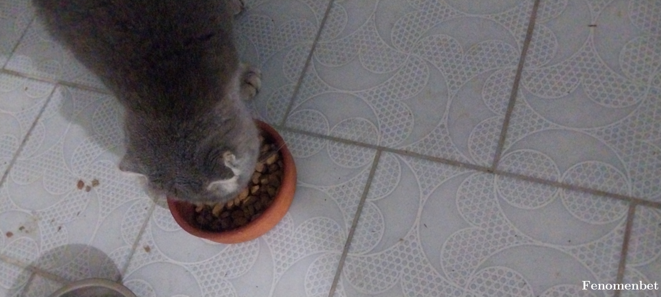 Malefizz1 tarafından paylaşıldı