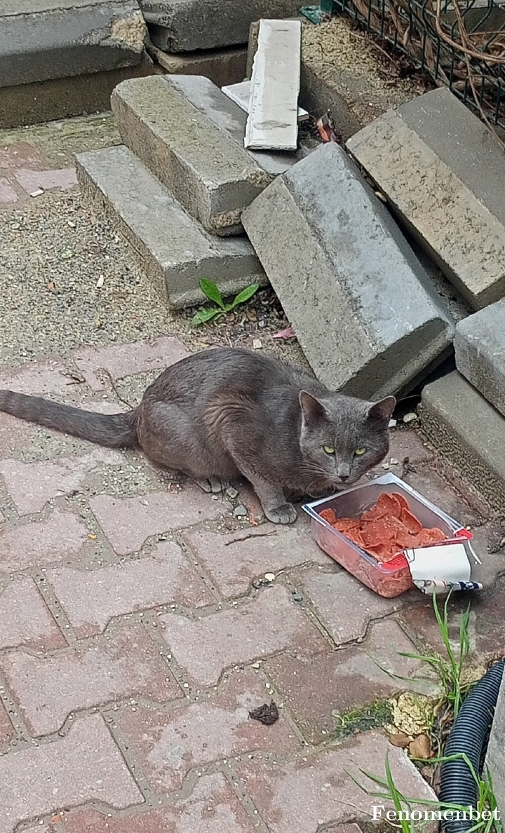 myb3636 tarafından paylaşıldı