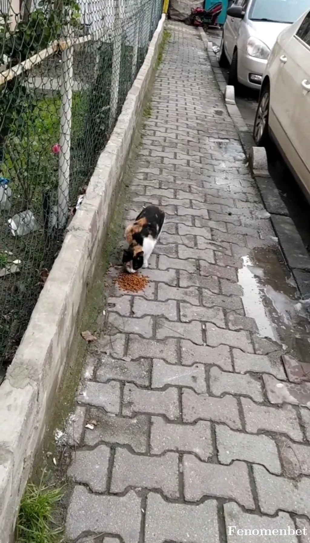 Sanane3456 tarafından paylaşıldı