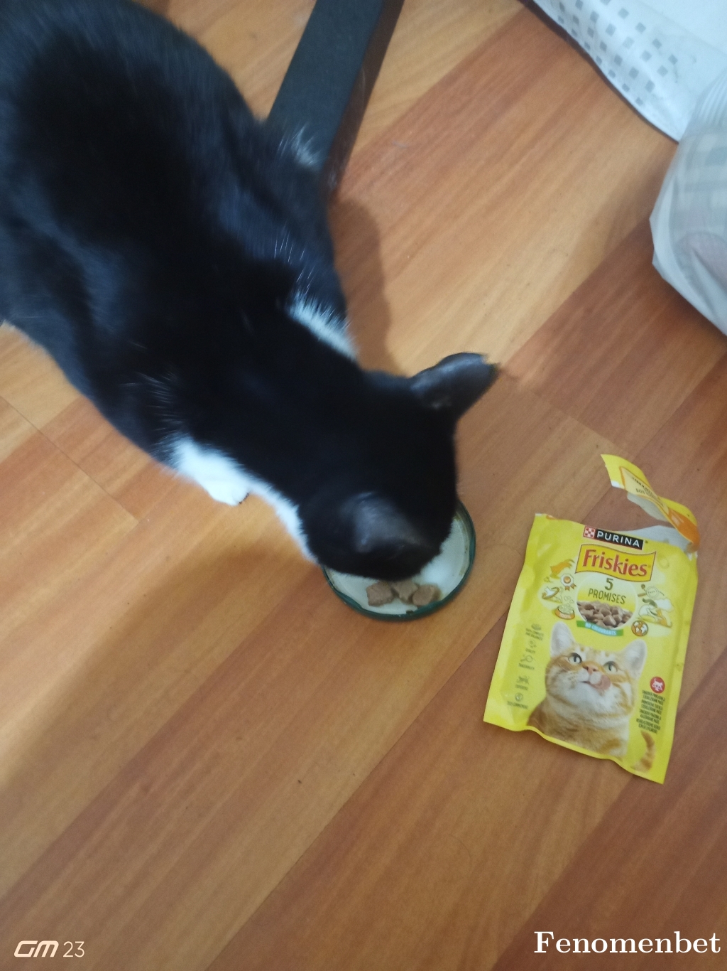 Golidcan tarafından paylaşıldı