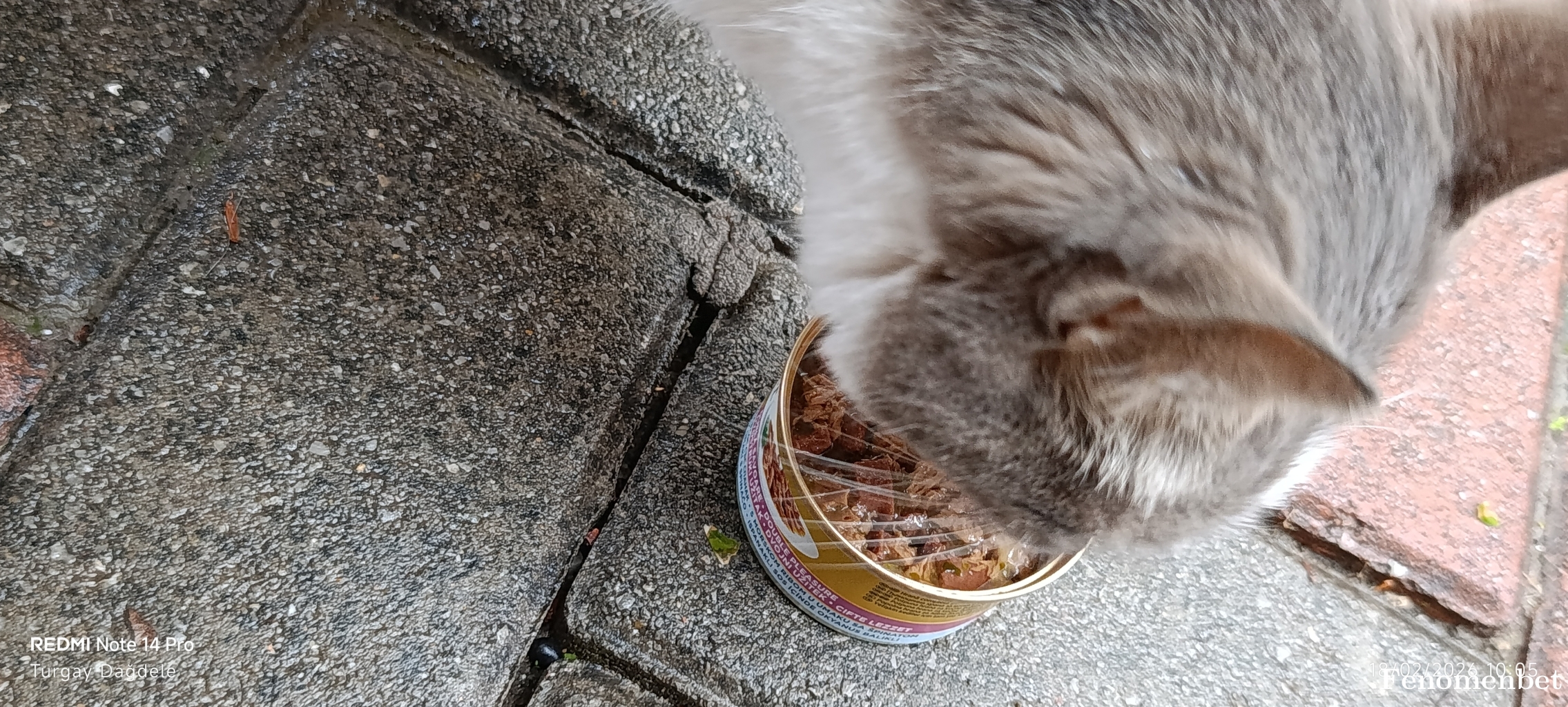 Turgay19051982 tarafından paylaşıldı