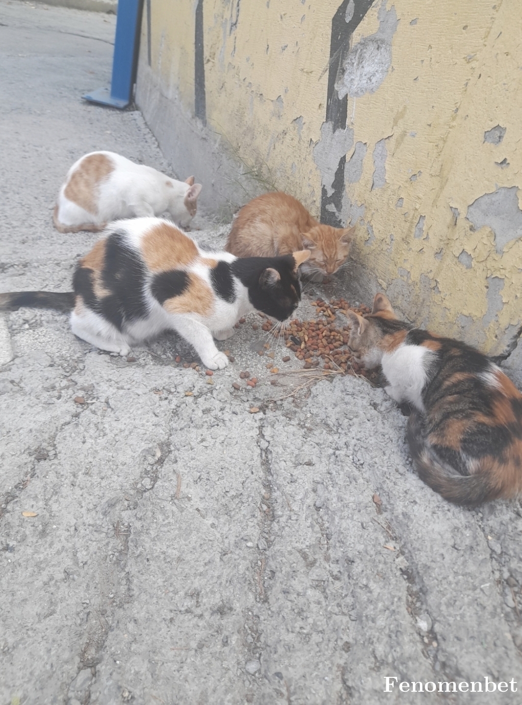 Ekselanss1905 tarafından paylaşıldı