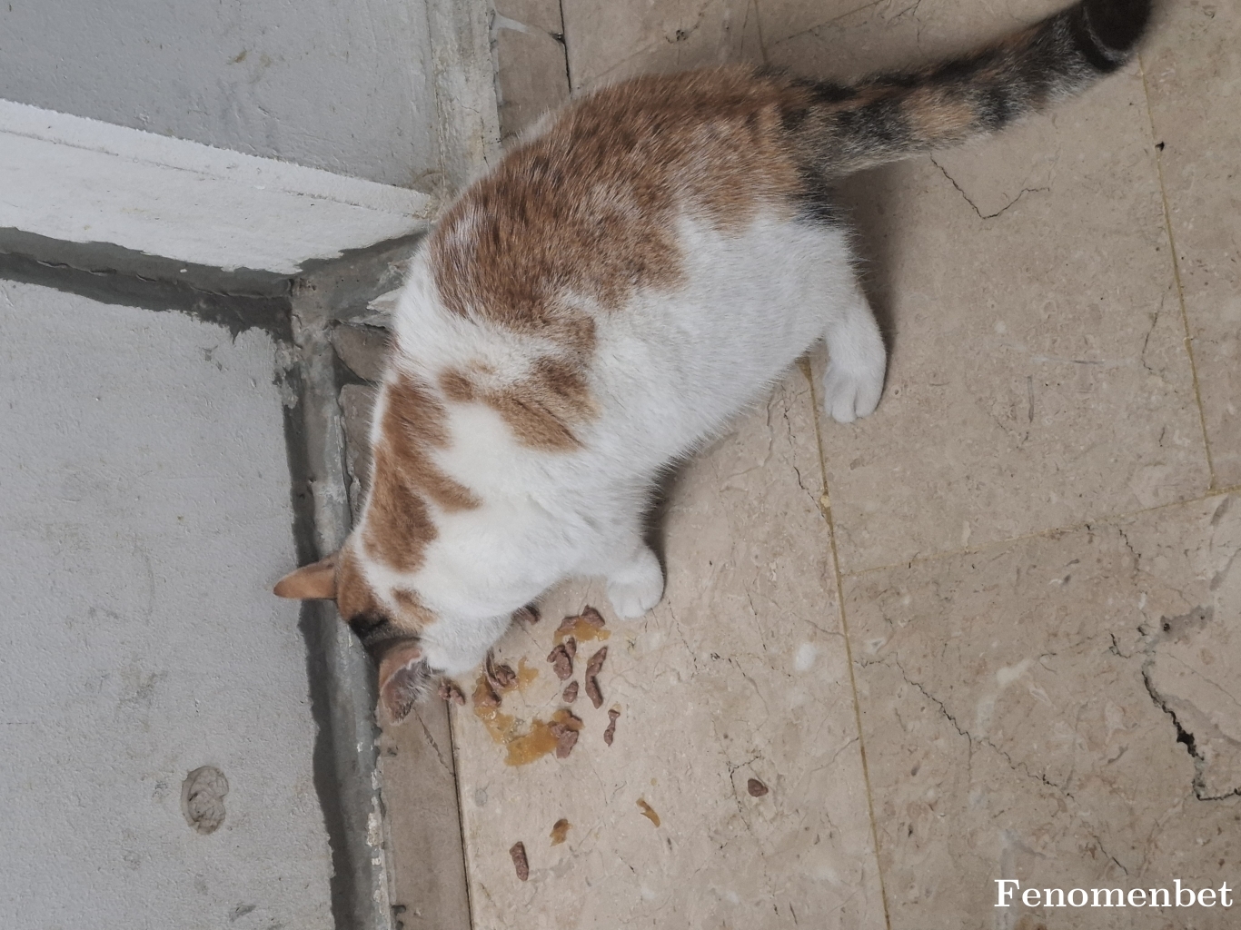 Senem98 tarafından paylaşıldı