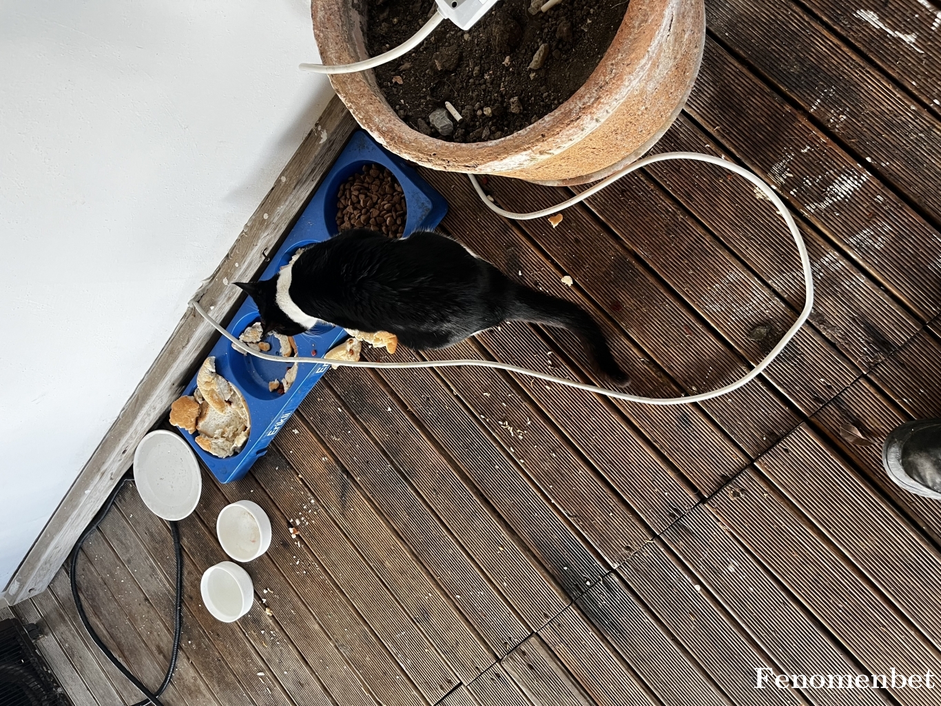 Mtlu123 tarafından paylaşıldı