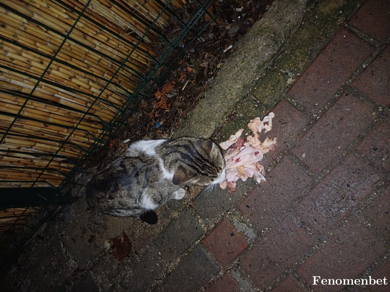 sercanisikalp39  tarafından paylaşıldı