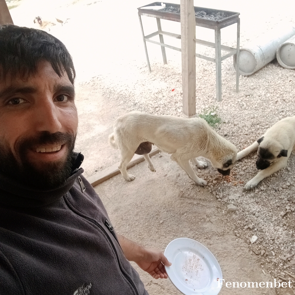 Mice636 tarafından paylaşıldı