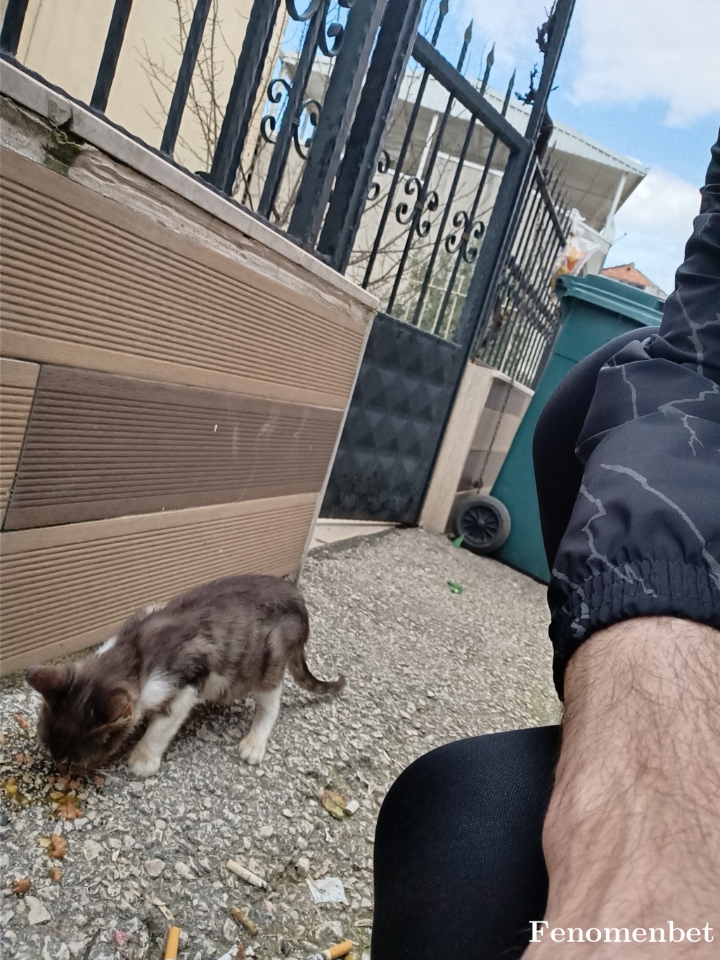 cio0053 tarafından paylaşıldı