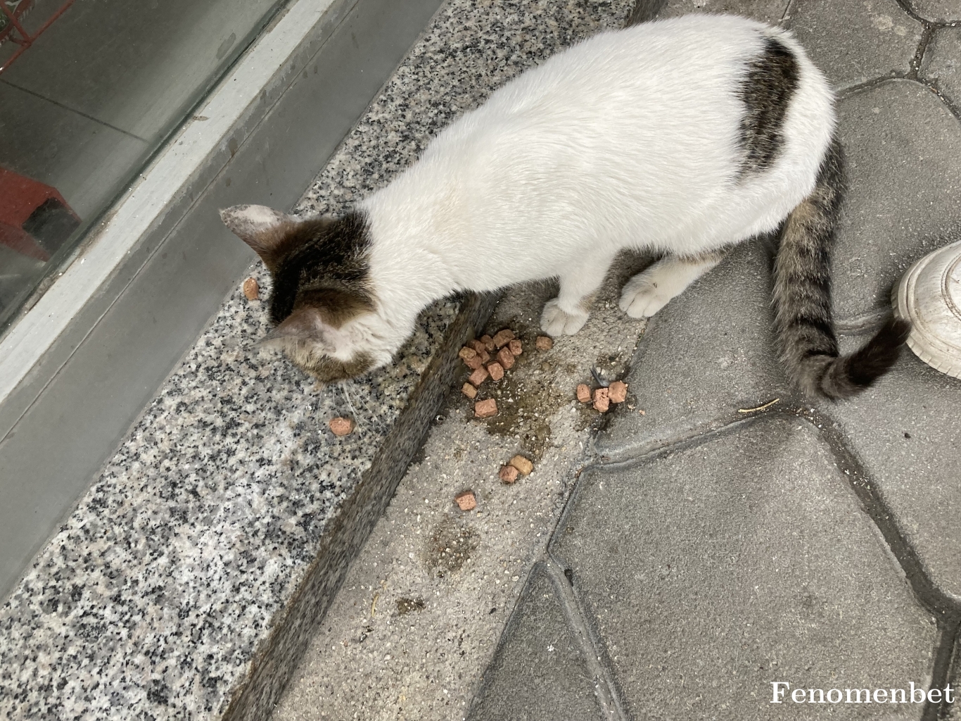 lordsamo tarafından paylaşıldı