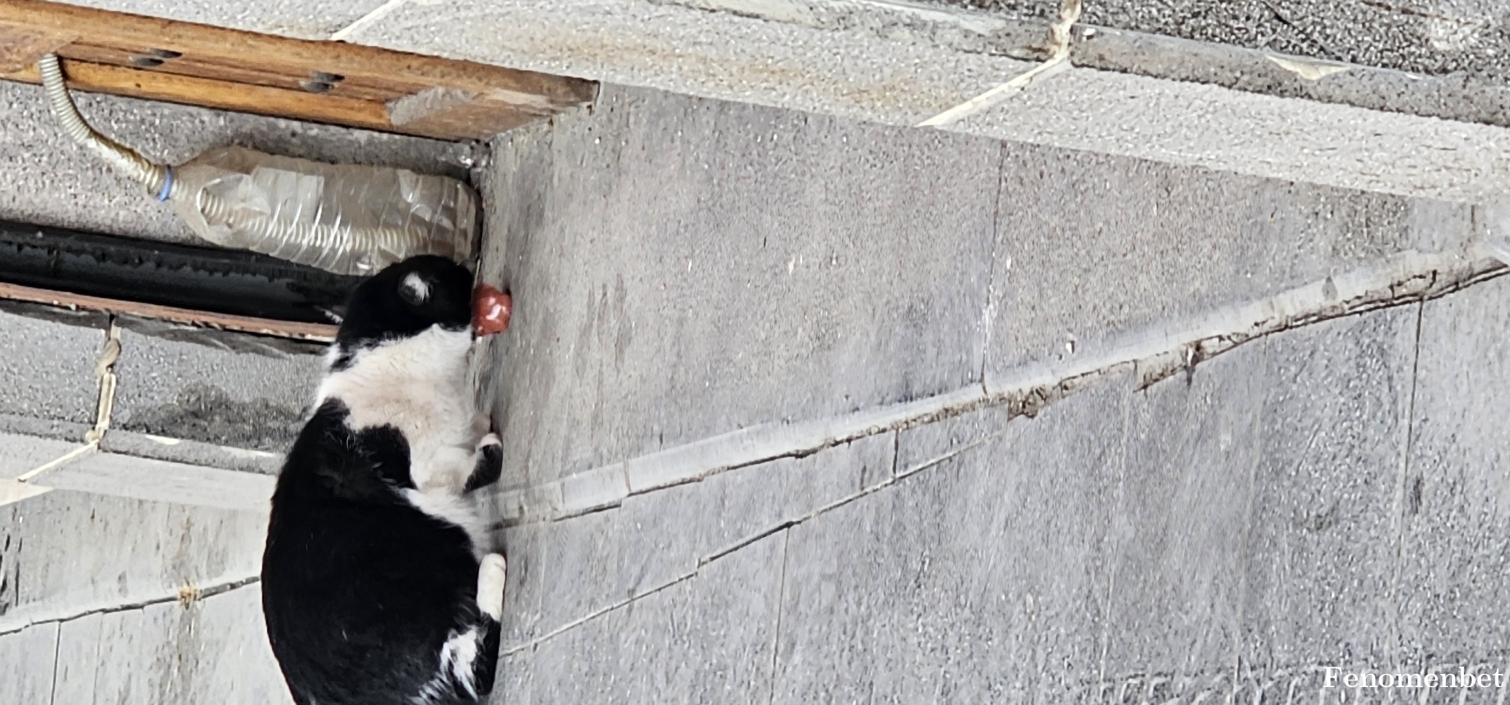 Dyr333  tarafından paylaşıldı