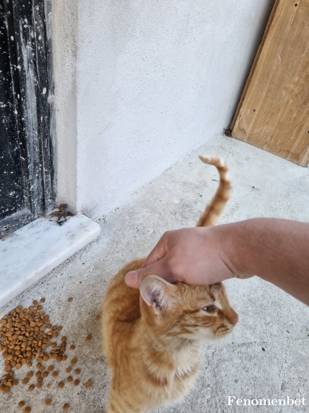 temhaizm tarafından paylaşıldı