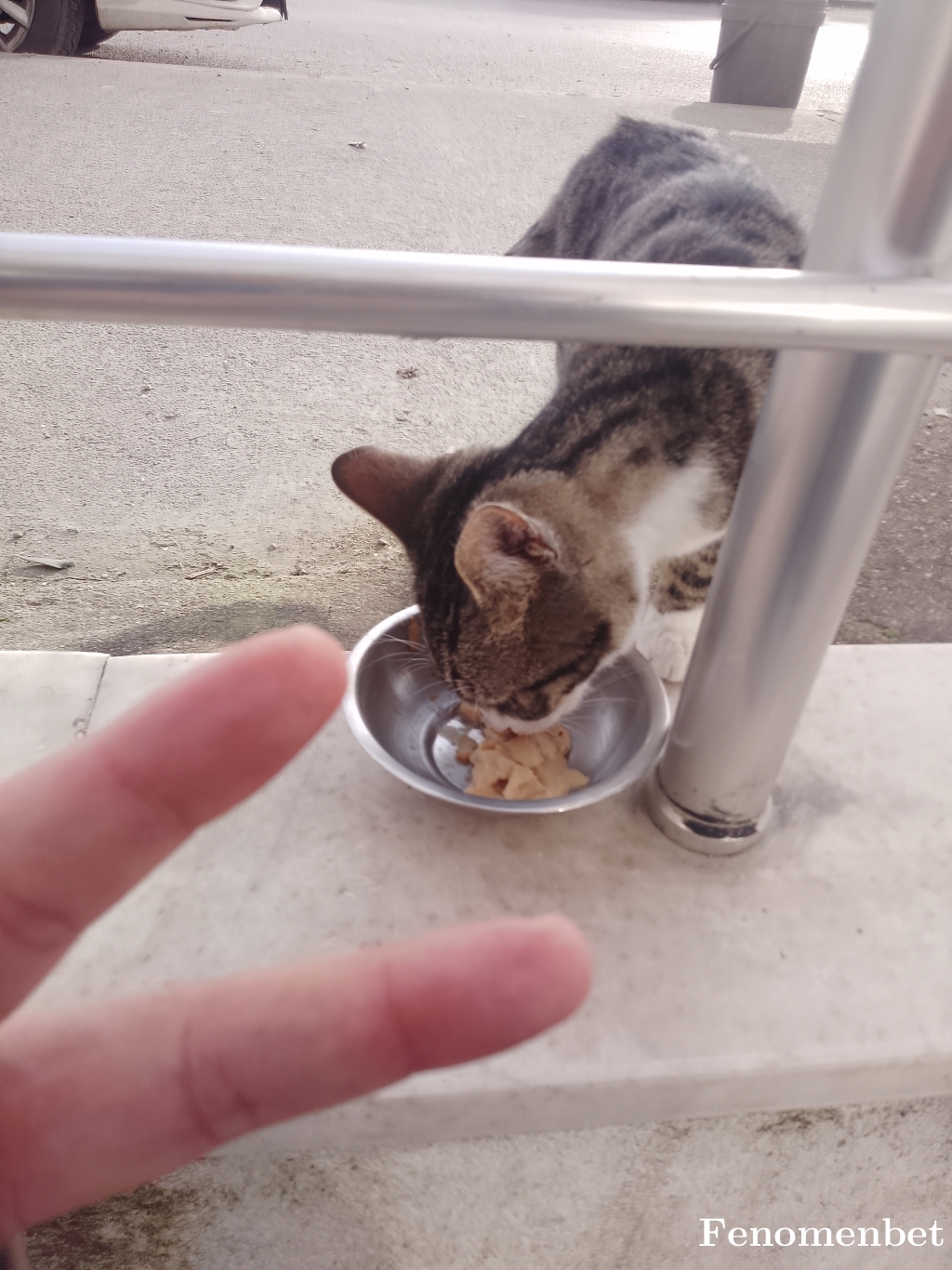 Dlkslmz  tarafından paylaşıldı