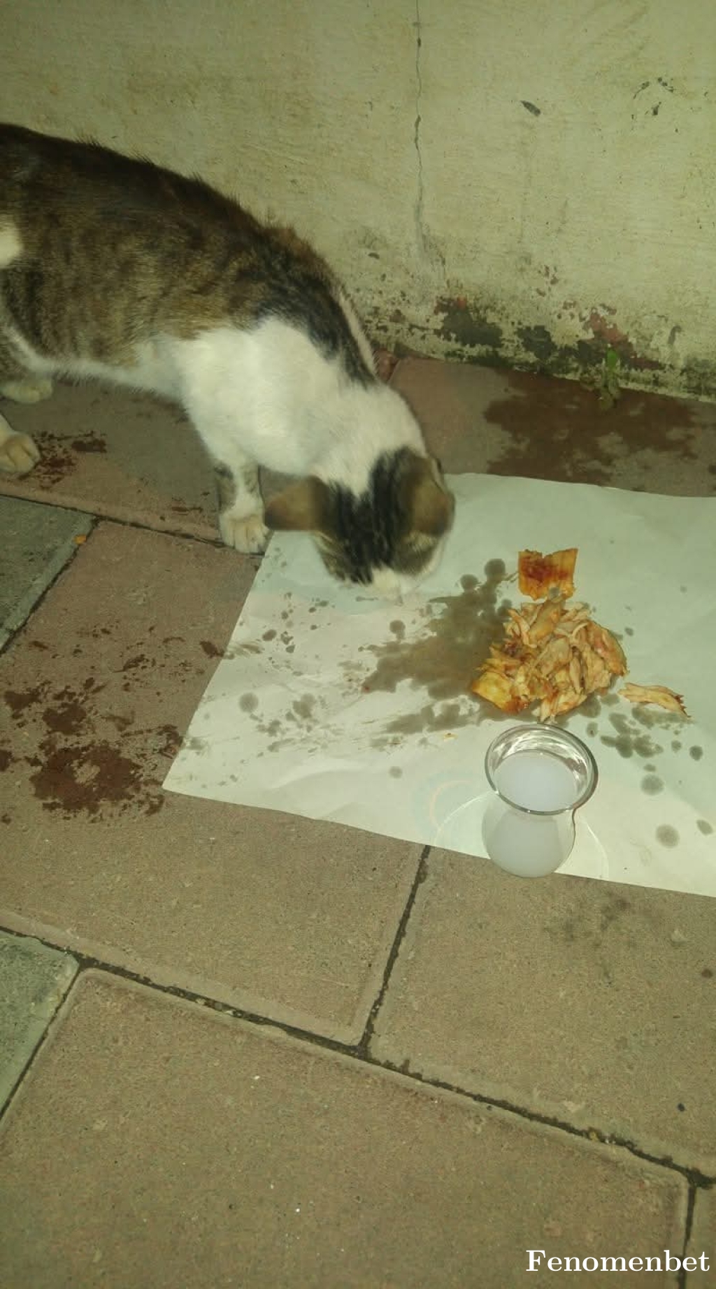 Flyman777 tarafından paylaşıldı