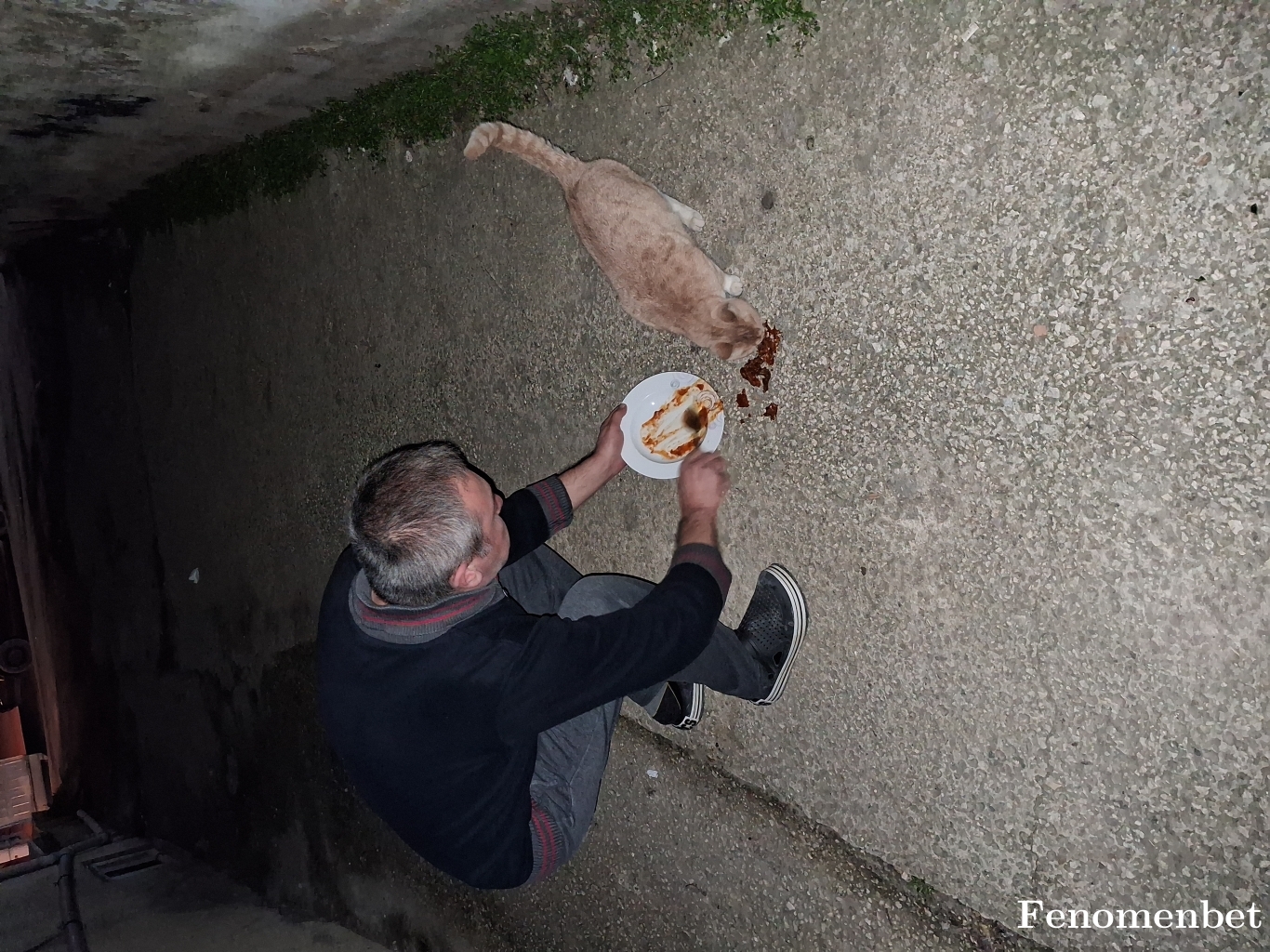 KenanMX1 tarafından paylaşıldı