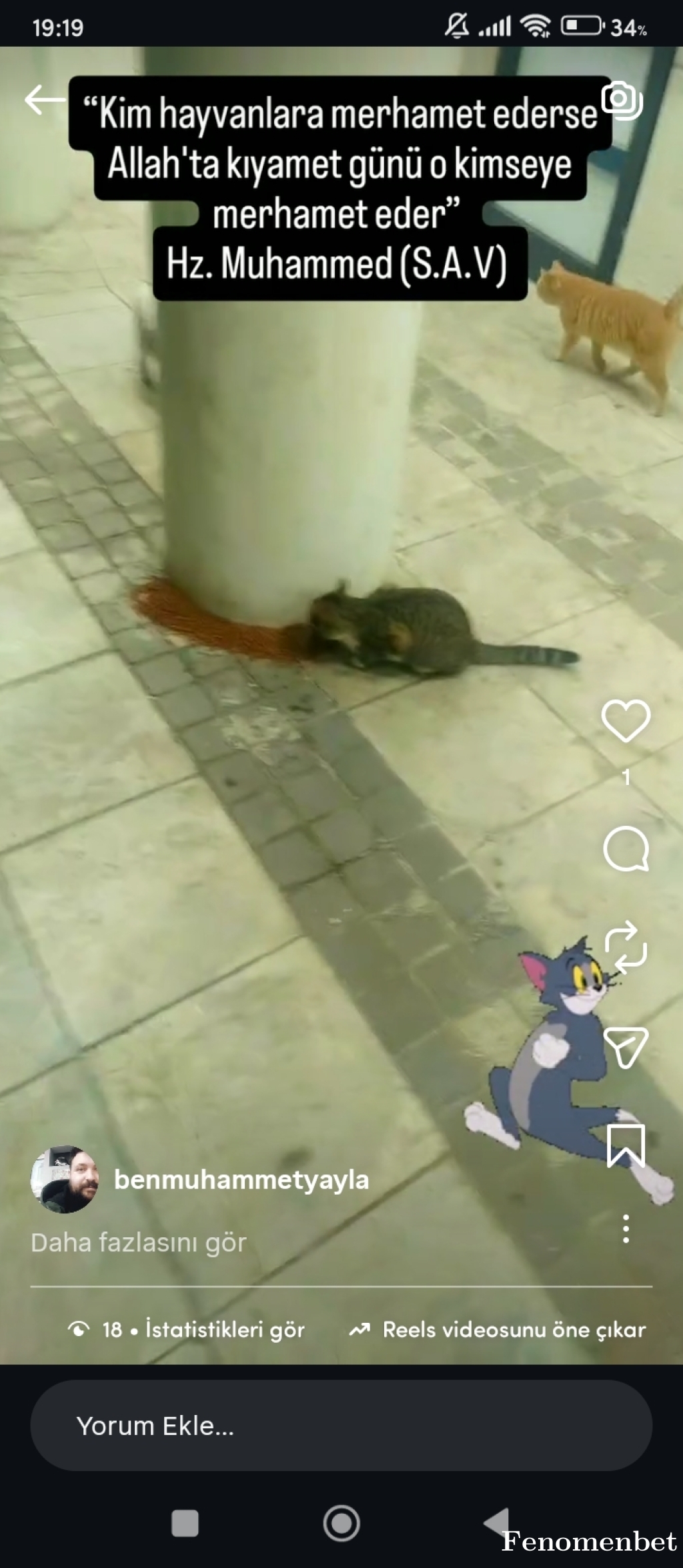 Mamibeyww tarafından paylaşıldı