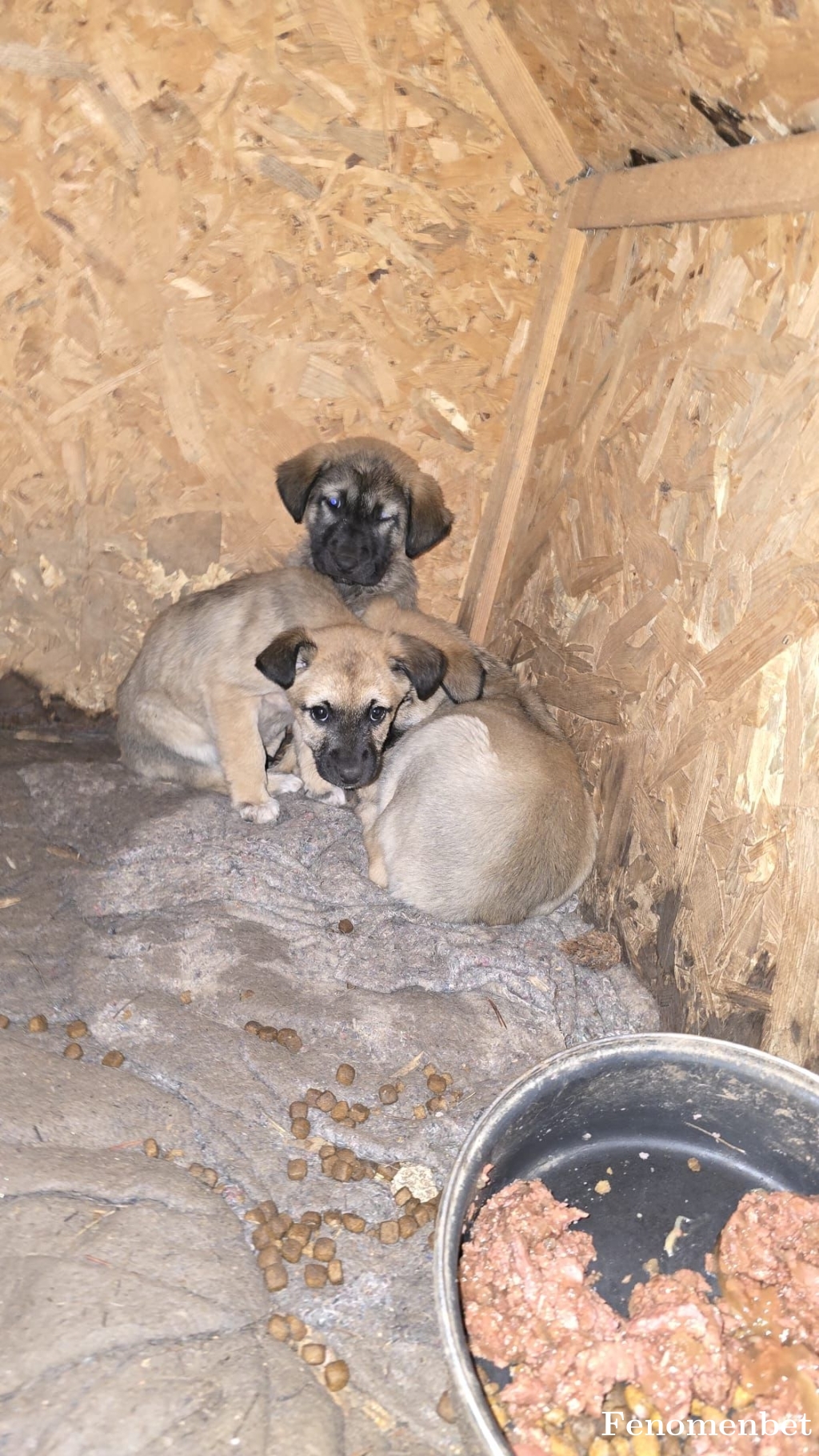 artistym  tarafından paylaşıldı