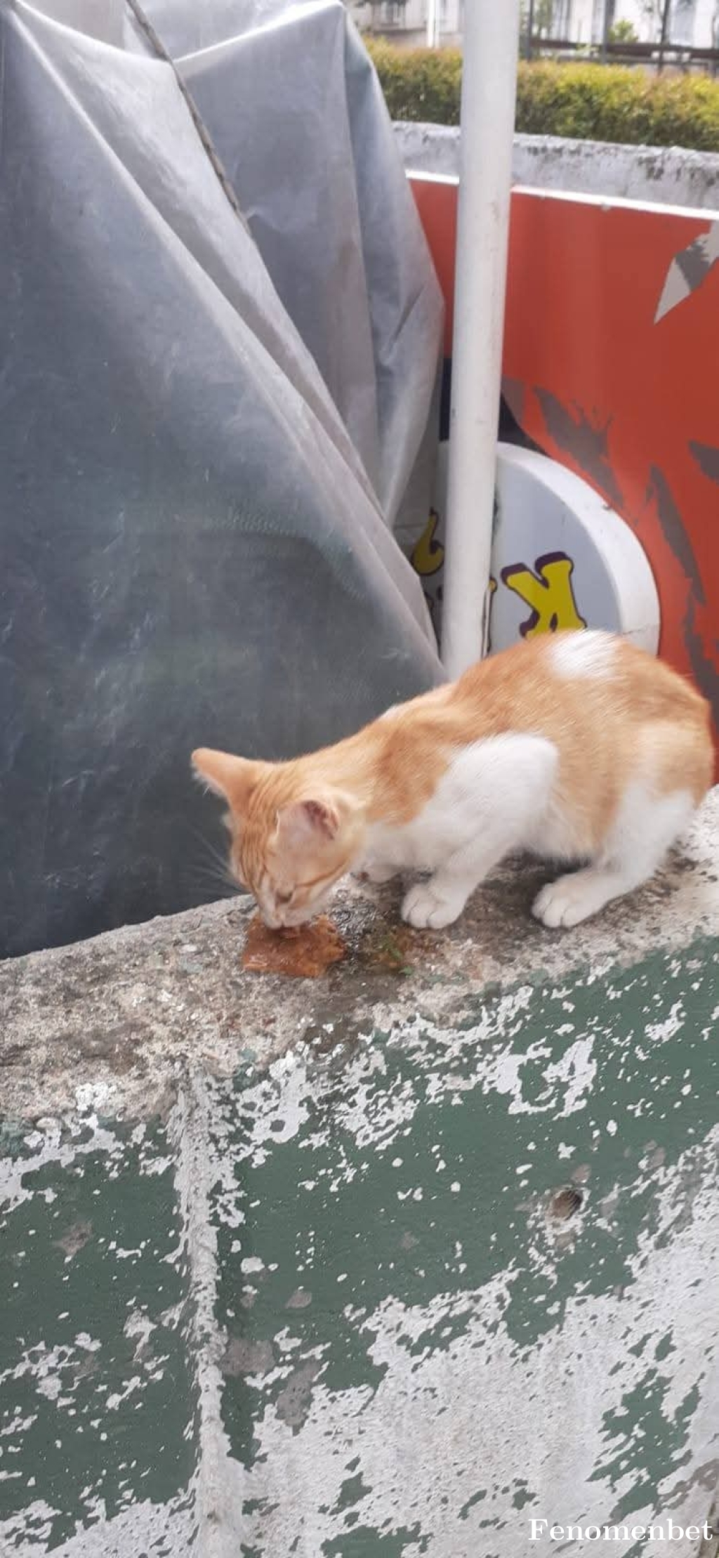 Onur1661 tarafından paylaşıldı