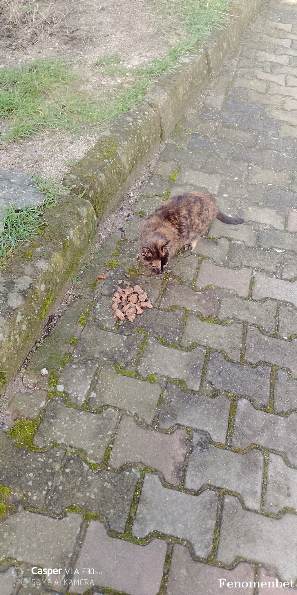 Dursun1973 tarafından paylaşıldı