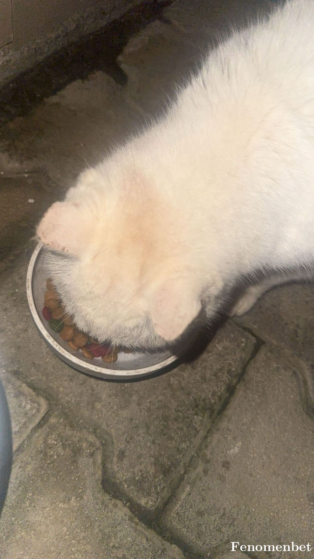 Suslu12 tarafından paylaşıldı