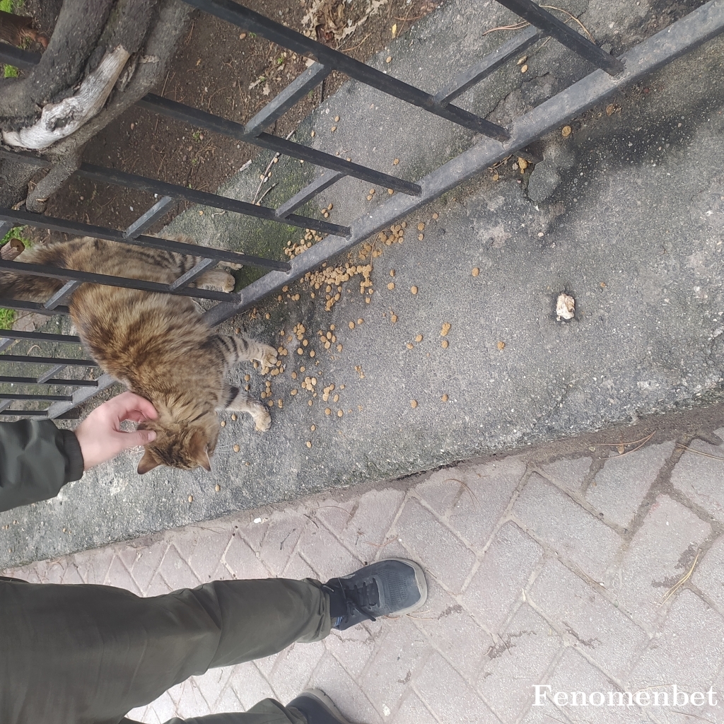 cydogukan tarafından paylaşıldı