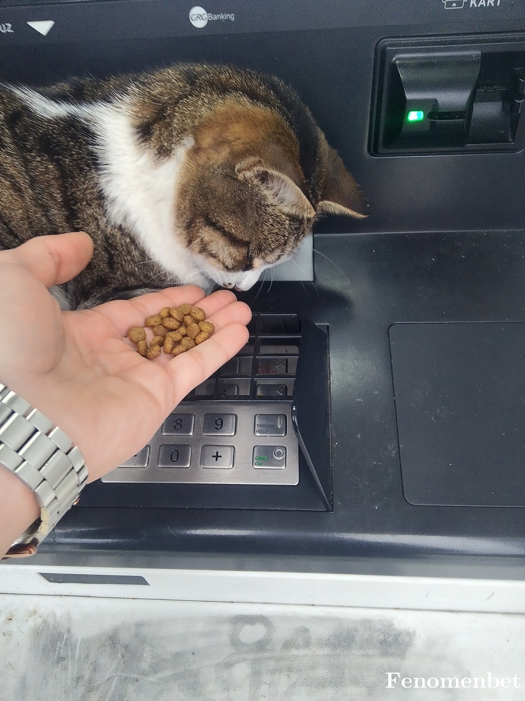 Laedry34 tarafından paylaşıldı