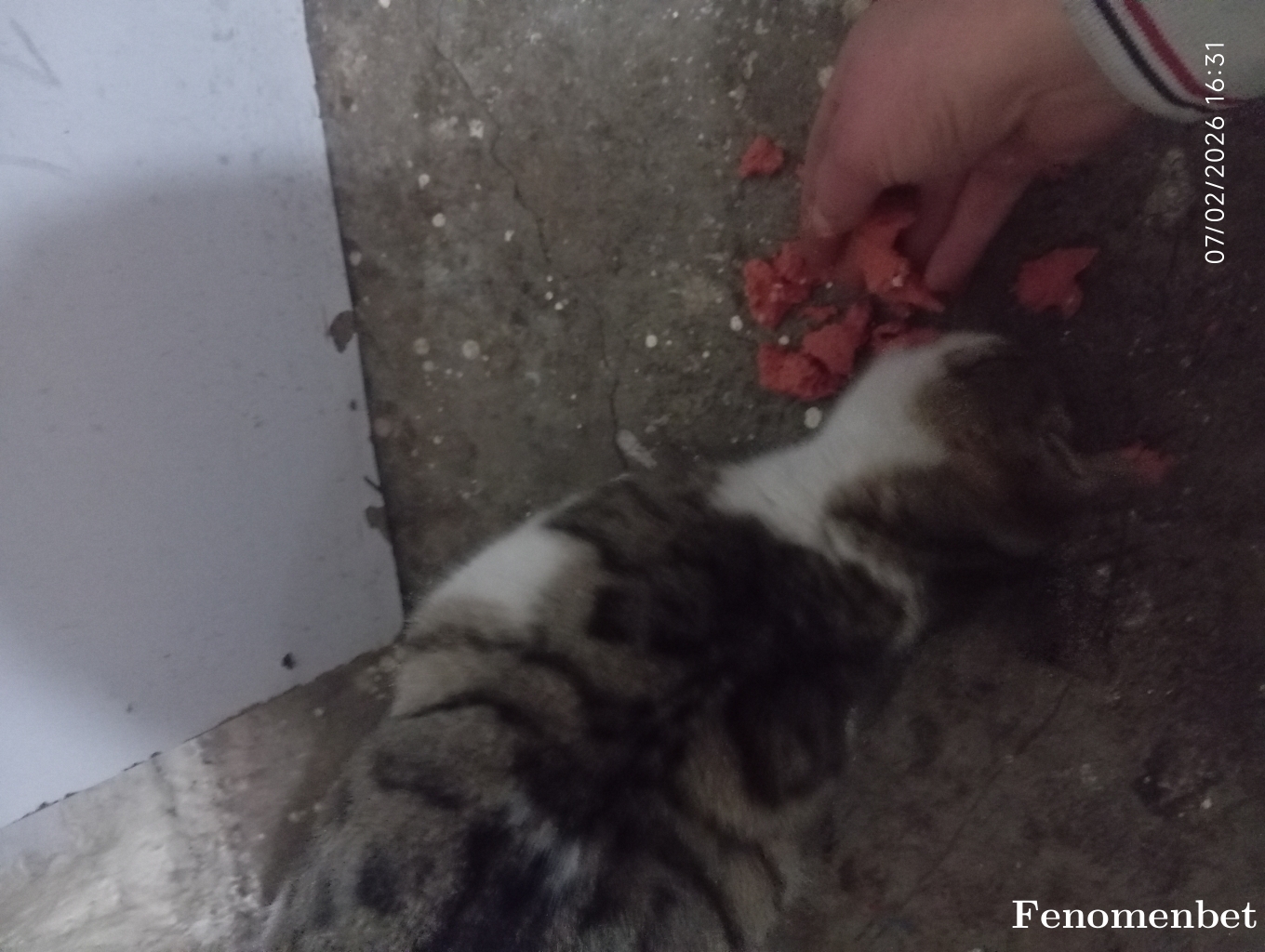 Eloderler68  tarafından paylaşıldı